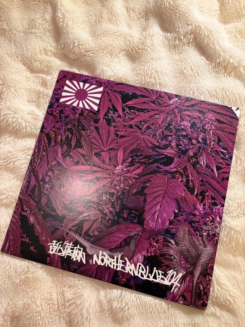 舐達磨NORTHERNBLUE 1.0.4 アナログレコード