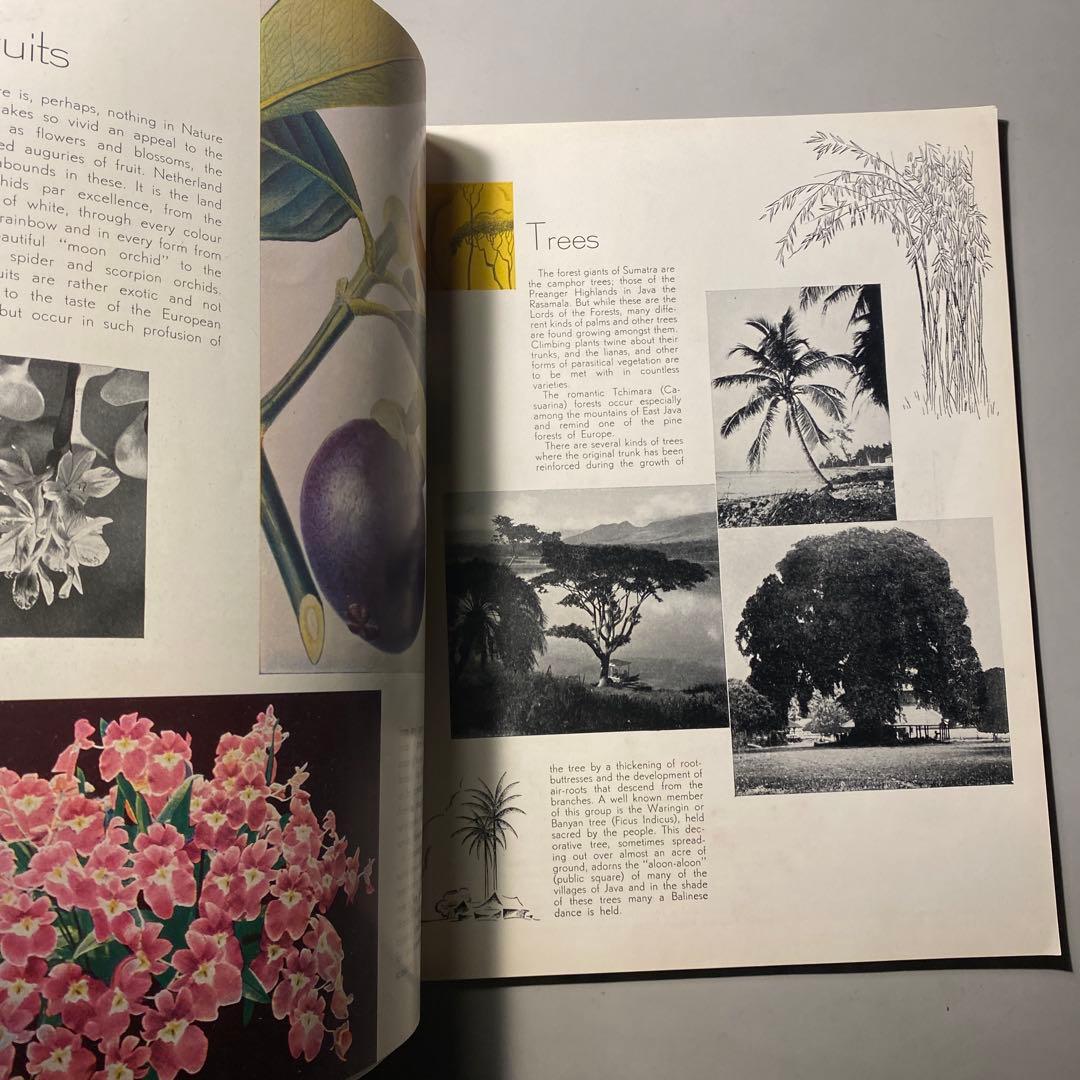 【ビンテージ】1933 The Netherland Indies豪華パンフ