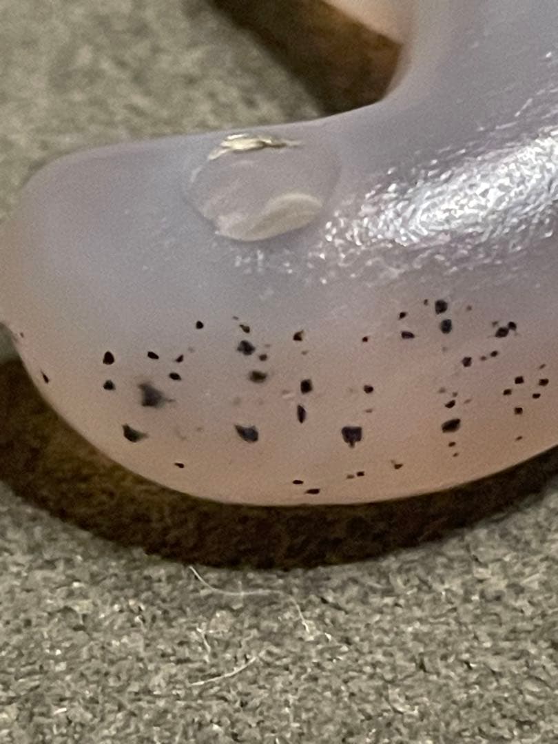 古墳時代　瑪瑙製勾玉