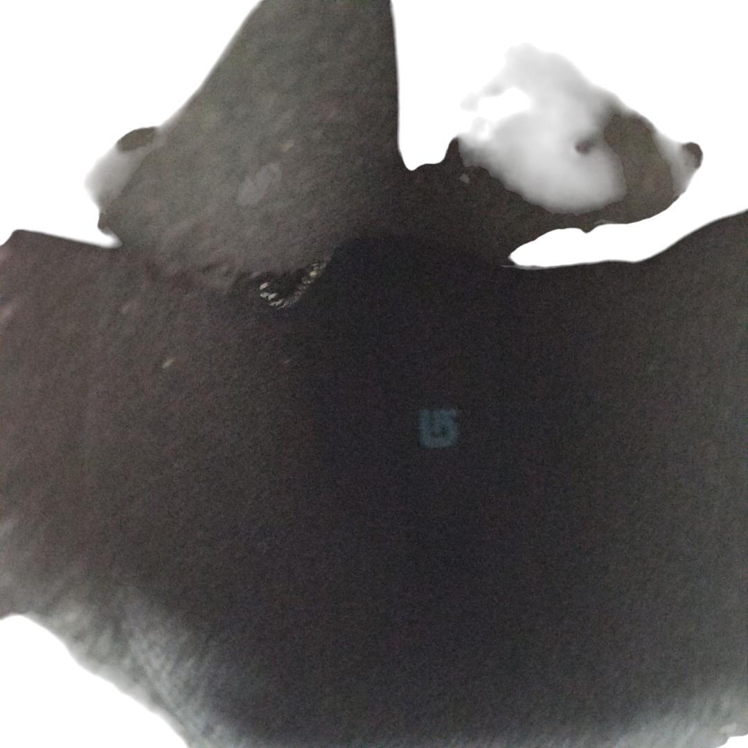 未使用 BURTON バートン スノーボードブーツ MINT ASIAN FIT