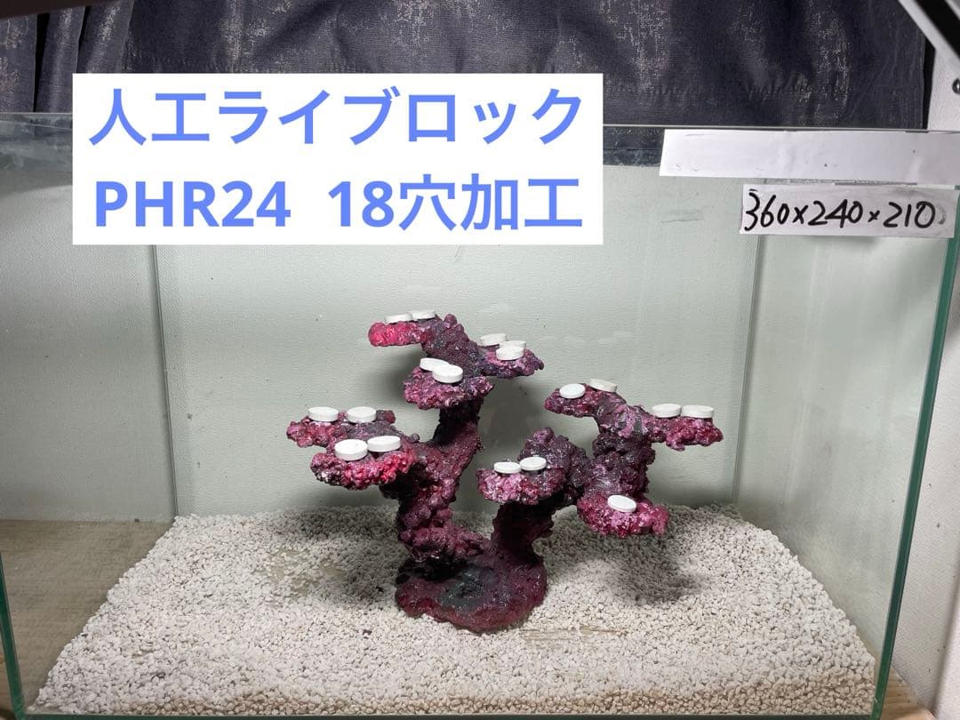 【送料無料】人工ライブロック　PHR24／18穴加工　アク抜き済み安心塗料使用