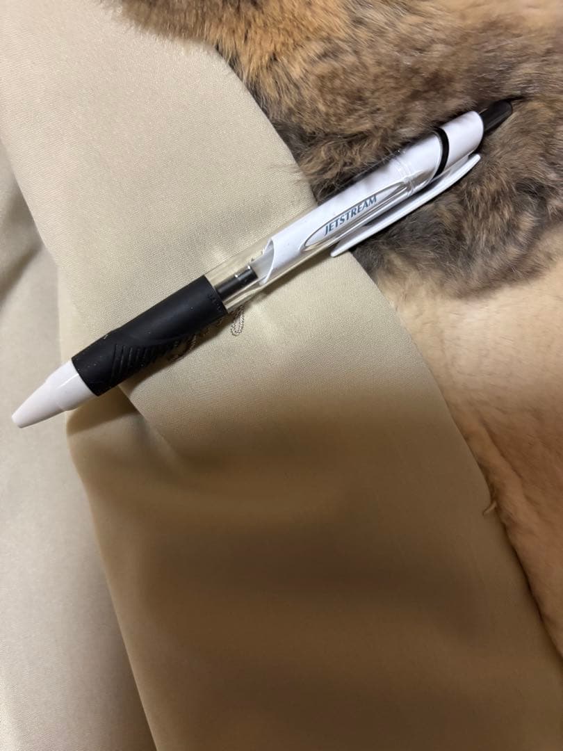 フランス　CＡＲＶＥＮ　ミンク　チンチラコート