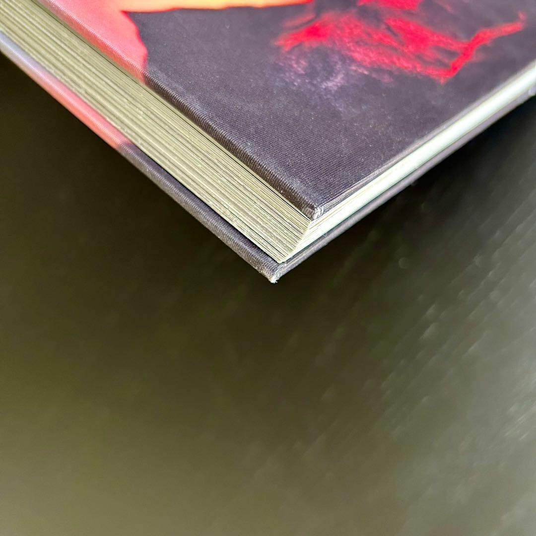 【洋書】LUIS SANCHIS