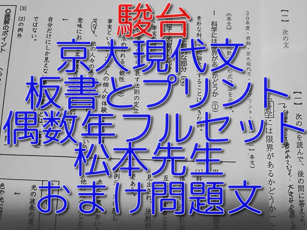 偶数年対応　駿台　松本孝子先生による京大現代文通年板書プリント集　河合塾　鉄緑会