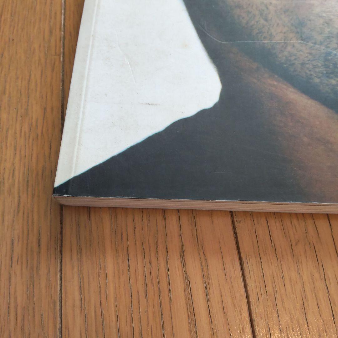 洋書 blag dgv. die gestalten verlag, BERLIN