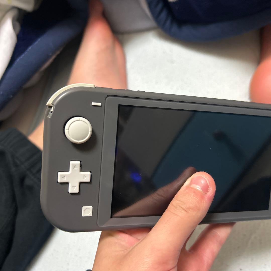 Nintendo Switch Lite グレー 本体SDカードあり