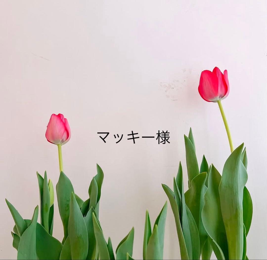 マッキー　おまとめ