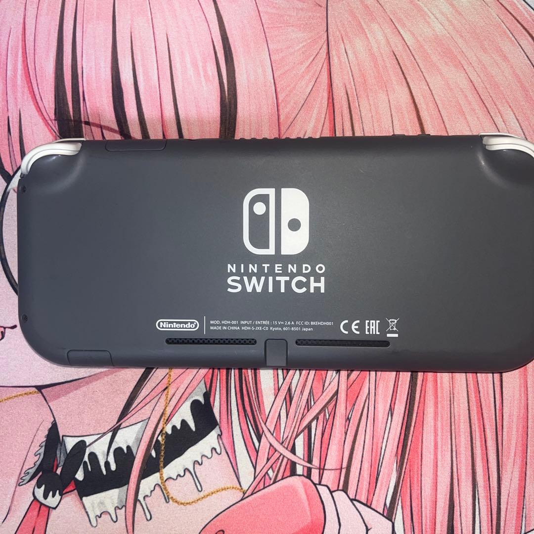 Nintendo SwitchLight グレー 本体のみ