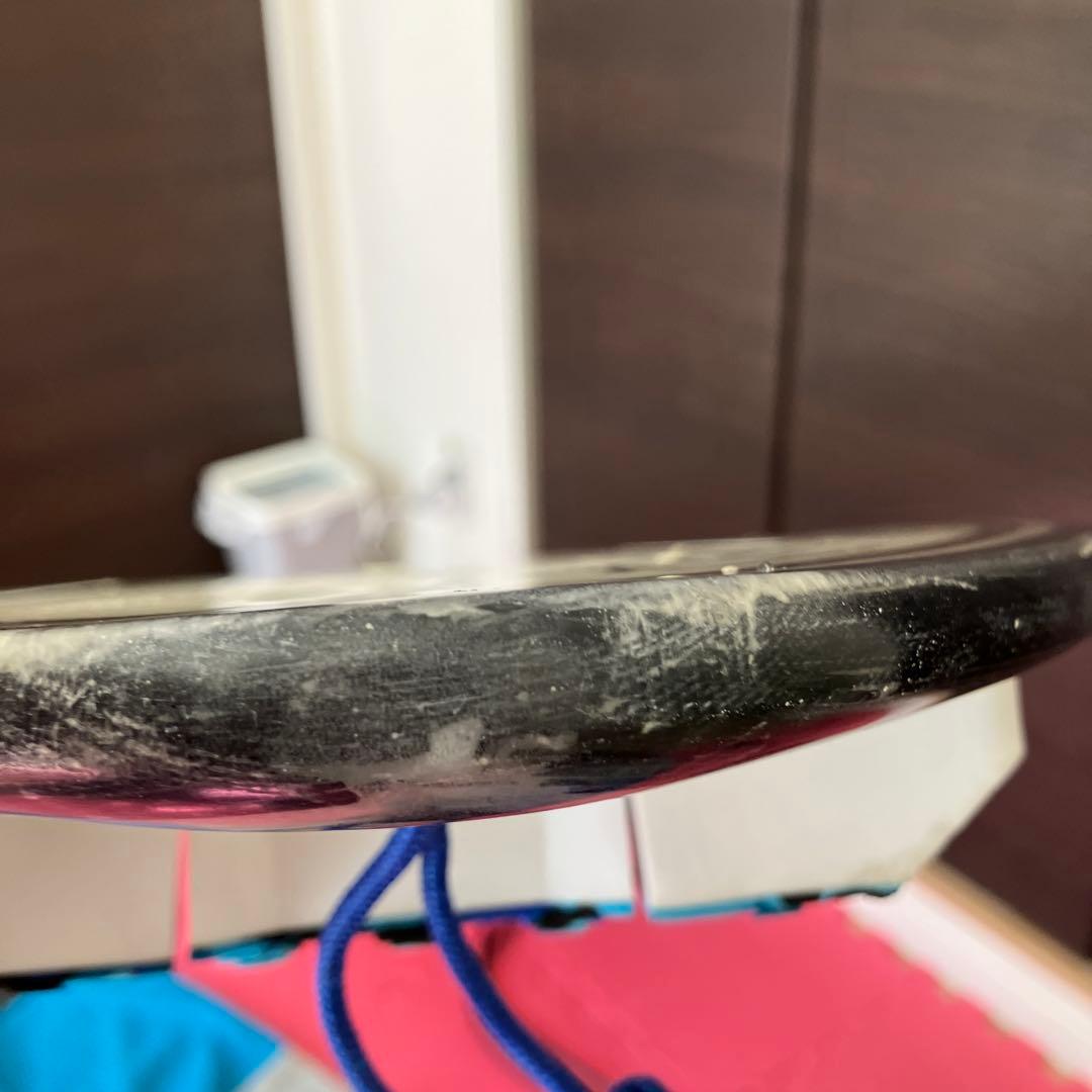 ヘイデンシェイプス　ヒプトクリプト