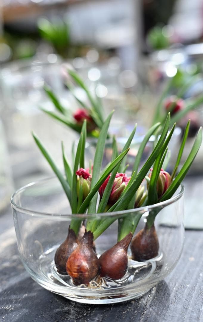 NIKON Z6Ⅲ　本体＆レンズ2本　他備品　箱あり　『美品』