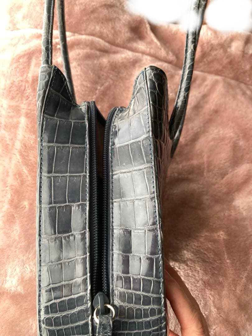 シャイニングクロコダイル　バッグ