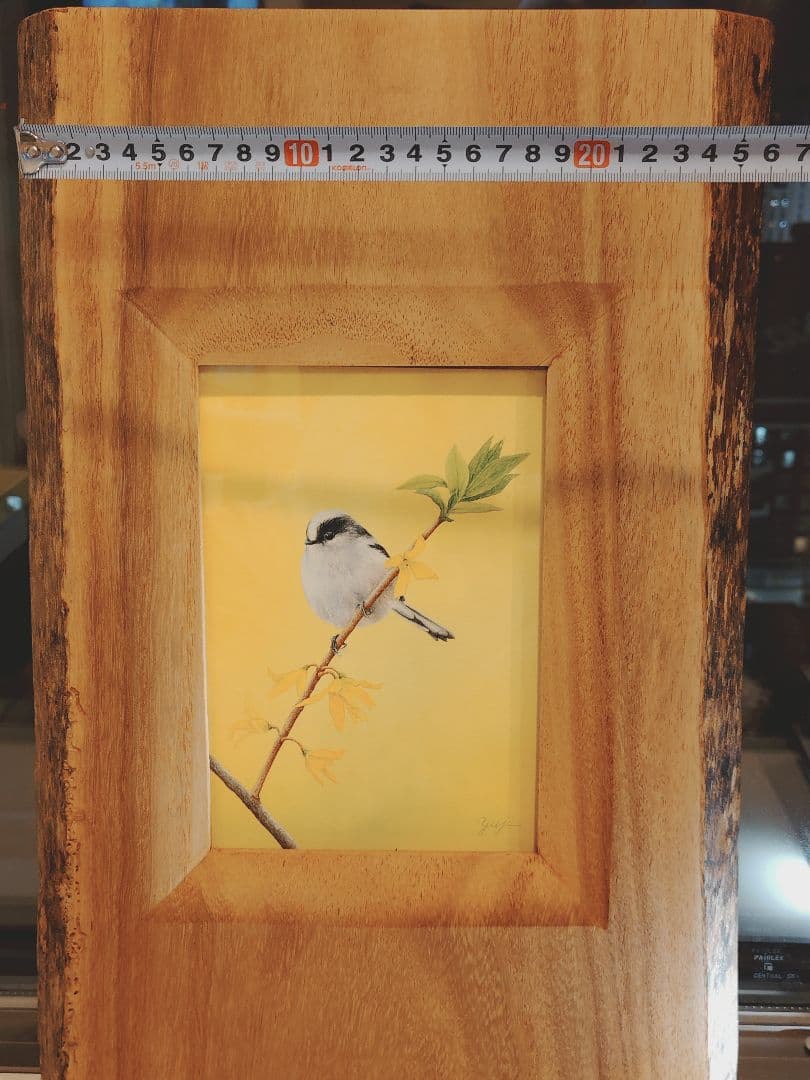 エナガ　谷上裕二