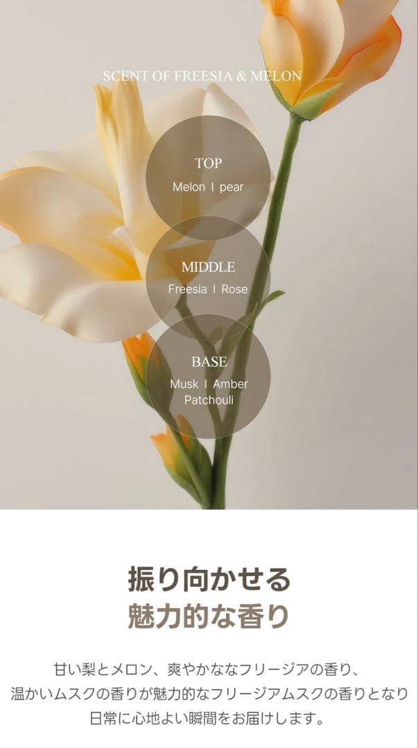 【新品】 ナウアンドダン now&than シャンプー トリートメント オイル