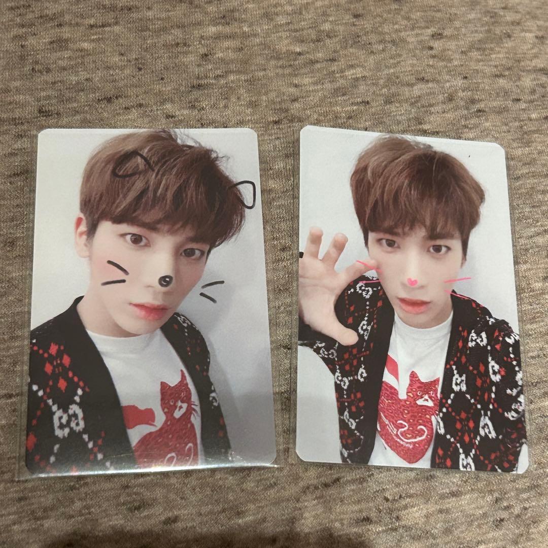 TXT テヒョン　トレカ　セット　cat&dog 特典