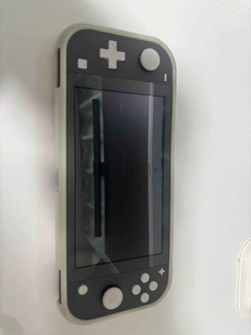 Nintendo Switch Lite グレー あつまれどうぶつの森ケース付き