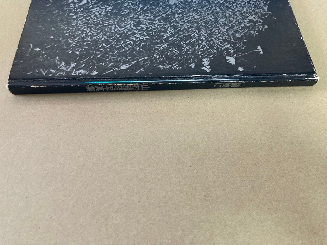 山村雅昭 写真集 植物に