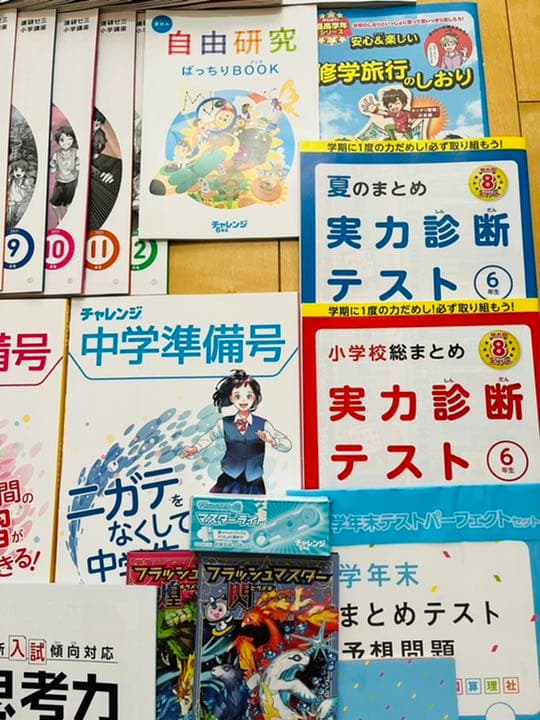 進研ゼミ小学講座 ６年生 チャレンジ 4教科1年間分（2021年度版）