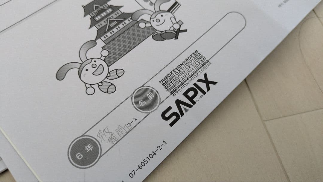 SS特訓志望校別講座 社会一式　サピックス SAPIX 小6