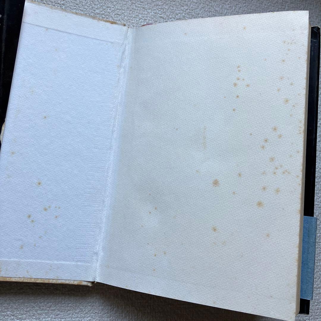 東京空襲　大屋典一　帯付き