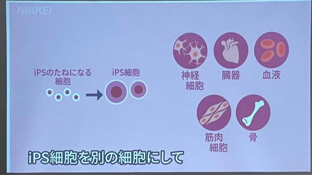 20%off IPS幹細胞培養液美容液35mg