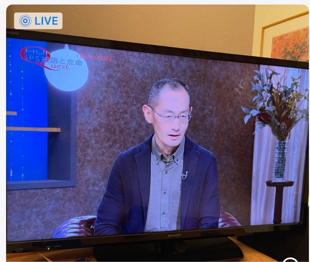 20%off IPS幹細胞培養液美容液35mg