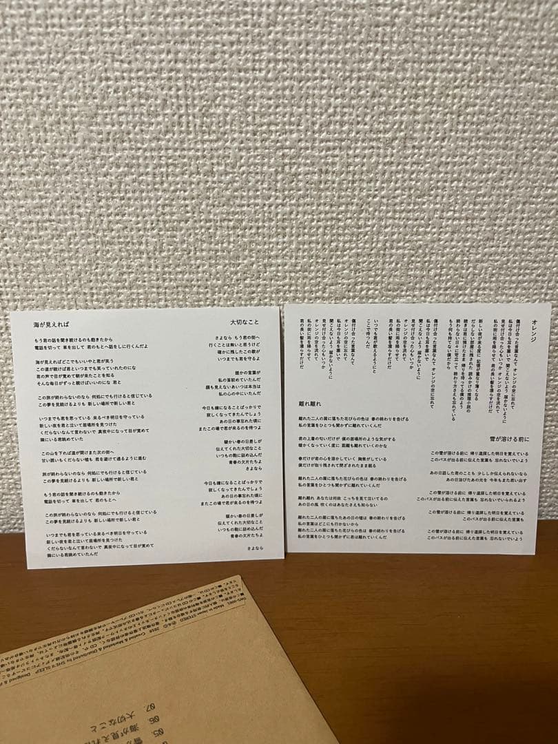 邦楽 SHE'LL SLEEP demo CD