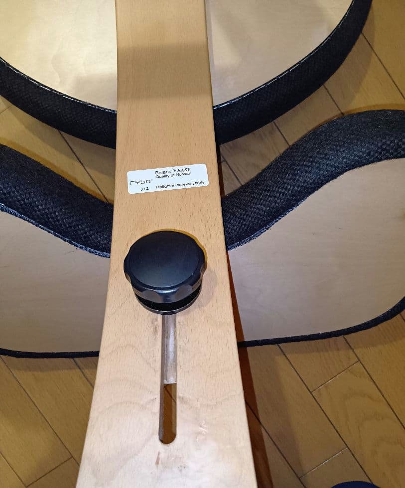 リボ社　バランスイージー　バランスチェア　ノルウェー　RYBO