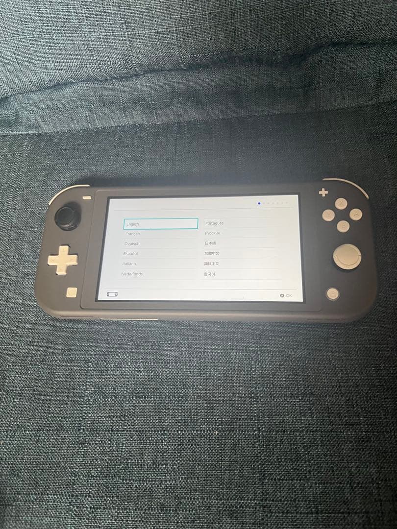 Switchライト　グレー　microSD 充電器付き　初期化済み