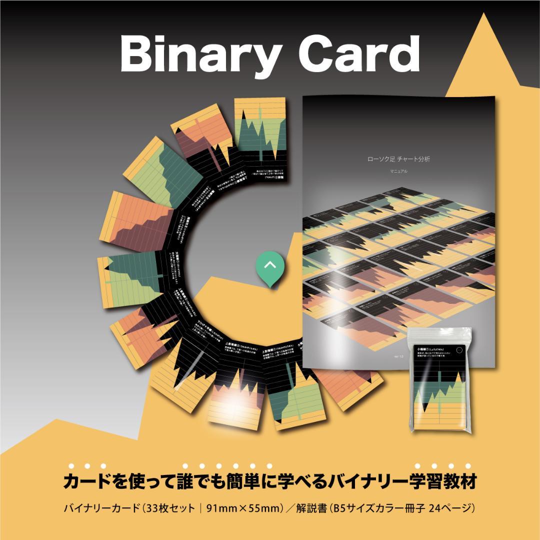 講座用｜3点まとめ｜バイナリーカード｜教材｜新品未使用｜学習教材｜ハイロー