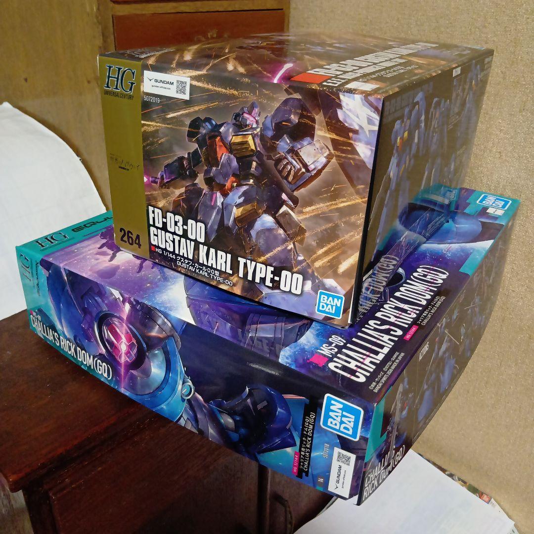 HG グスタフ・カール00型＆HG シャリア専用リック・ドム(GQ)