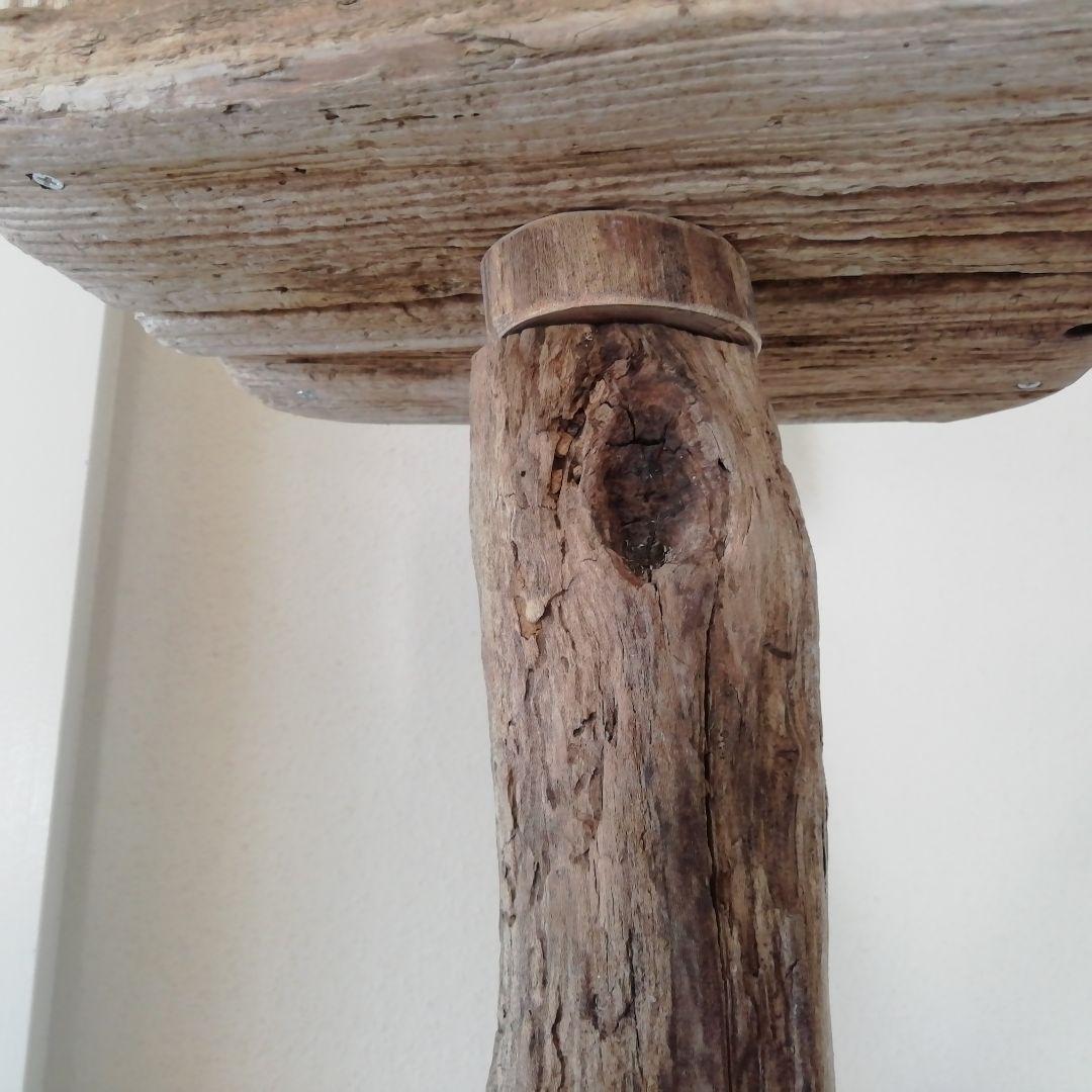 fm バードアスレチックジム 天然木 自然木 流木 止まり木 インコ