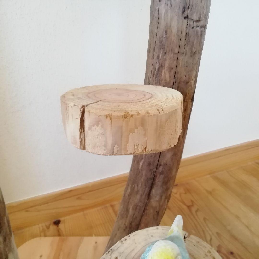 fm バードアスレチックジム 天然木 自然木 流木 止まり木 インコ