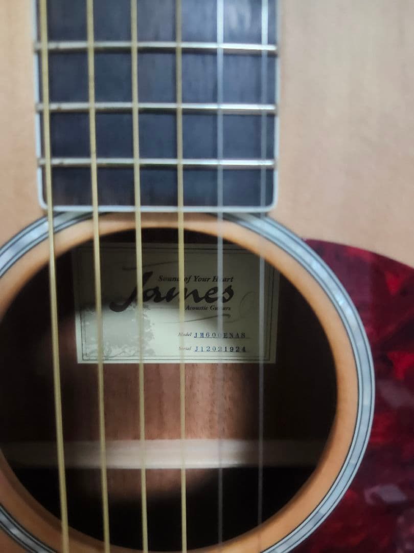 ジェームス　james jm600e　エレアコ　ギター　トップ単板