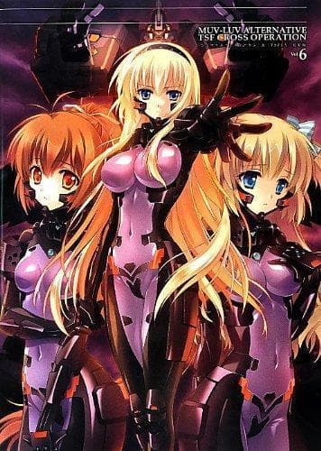 マブラヴ＆シュヴァルツェスマーケン6 設定資料集 画集 初版 希少 帯付き 新品