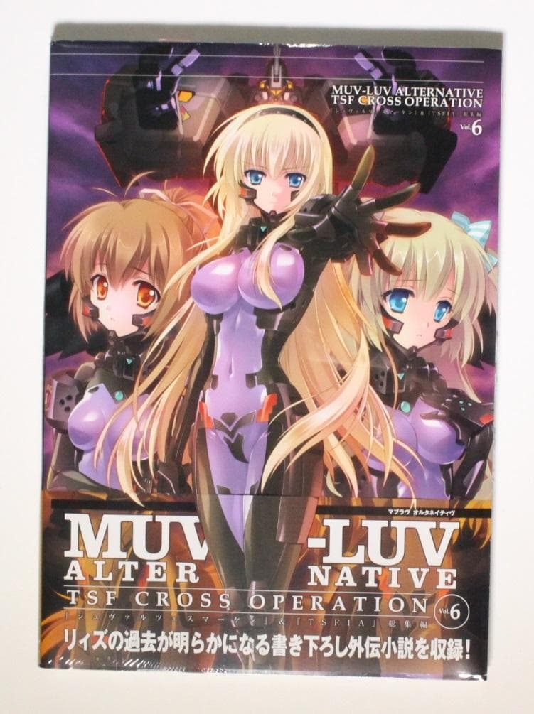 マブラヴ＆シュヴァルツェスマーケン6 設定資料集 画集 初版 希少 帯付き 新品