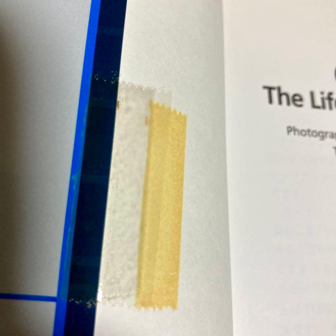 ラダーシリーズ　レベル1〜5　71冊セット