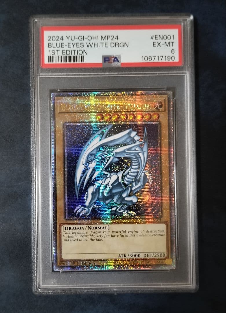 遊戯王カード 青眼の白龍＆真紅眼の黒竜 英語版 北米版25thシークレット