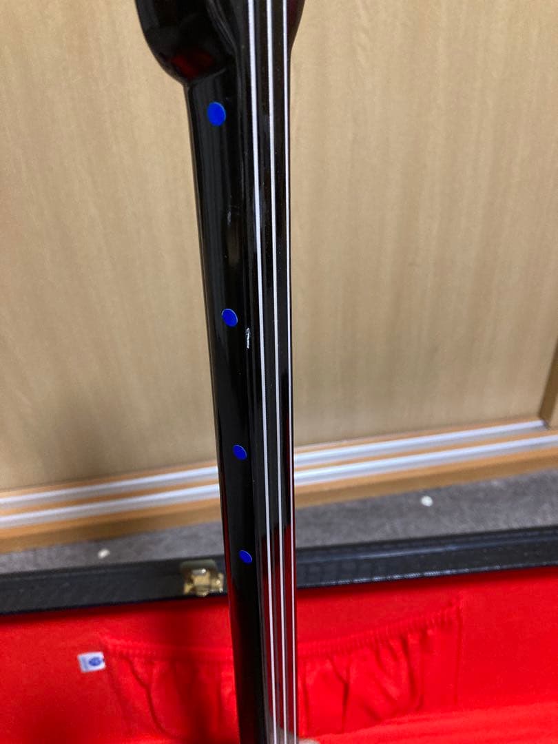 沖縄三線 人工皮 蛇柄 ハードケース 教本付