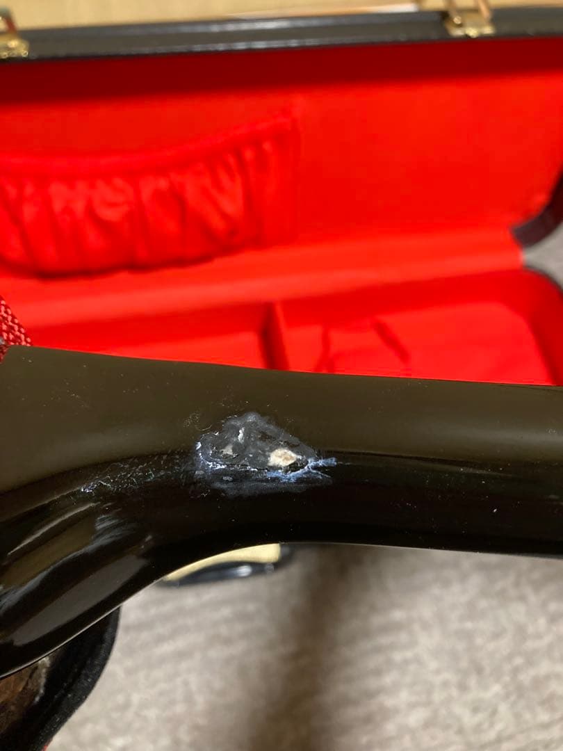 沖縄三線 人工皮 蛇柄 ハードケース 教本付