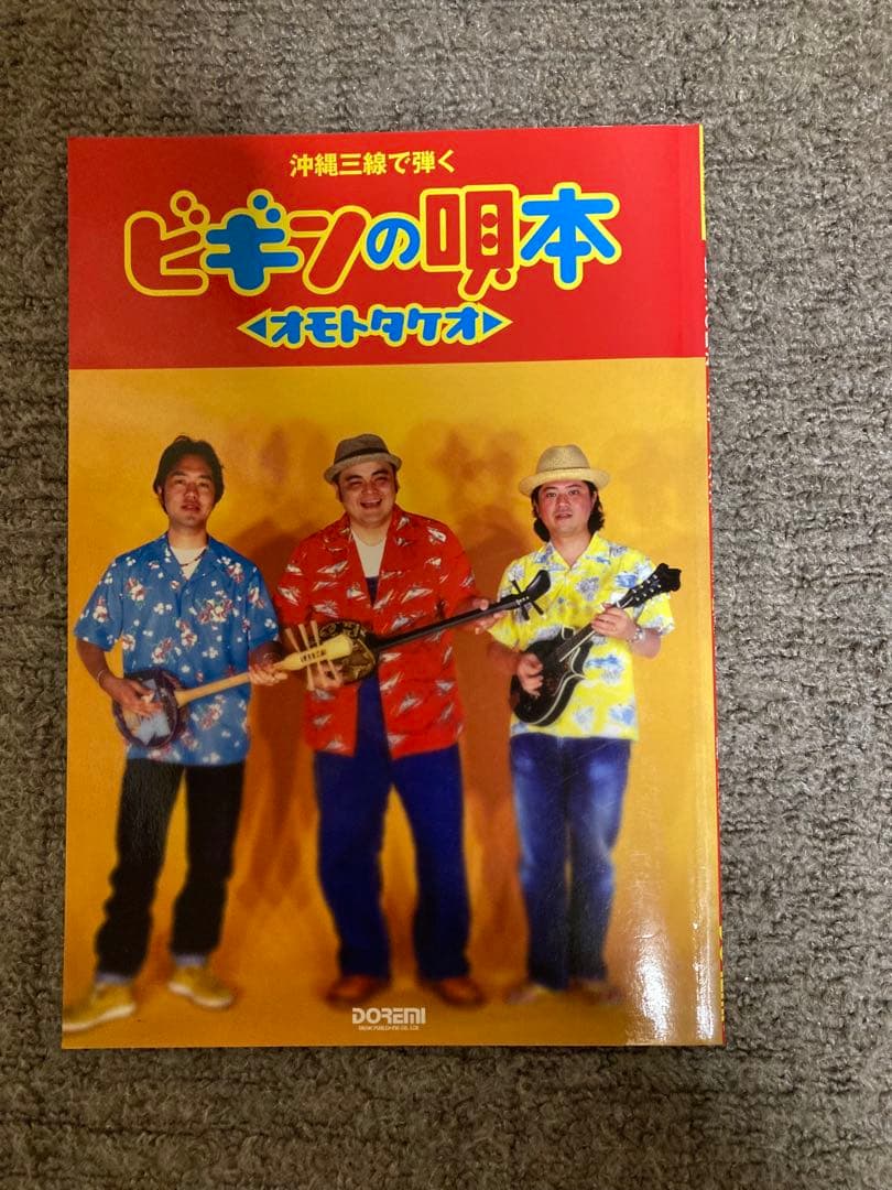 沖縄三線 人工皮 蛇柄 ハードケース 教本付