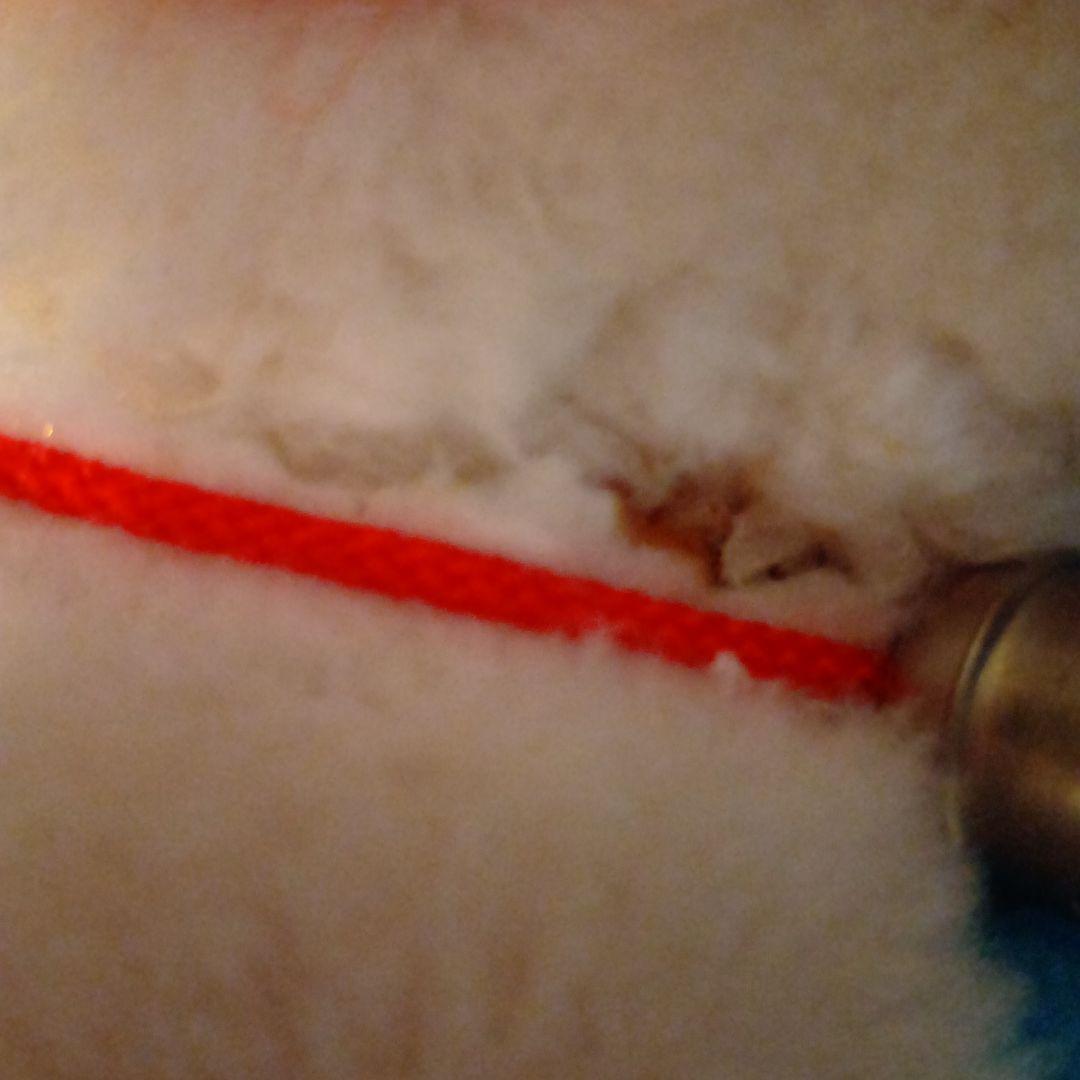 ドラえもん　ぬいぐるみ