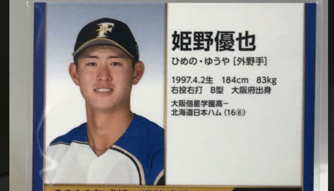 プロ実使用　硬式用グローブ