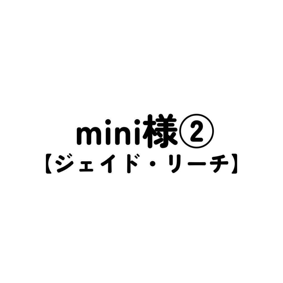mini様 コスプレ ウィッグ オーダー 専用ページ ②