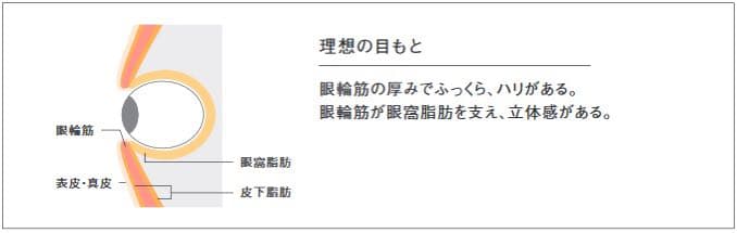 B.Aアイゾーンクリーム