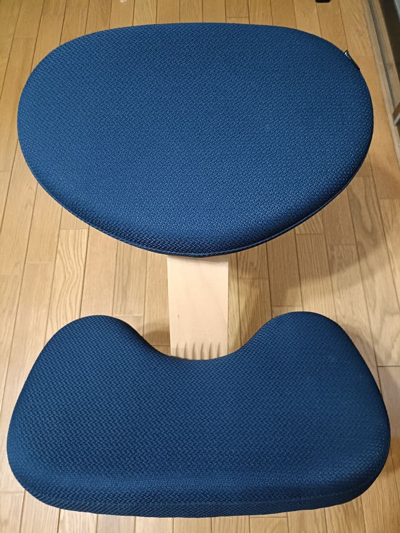 balans Easy バランスイージー姿勢矯正チェア ネイビー