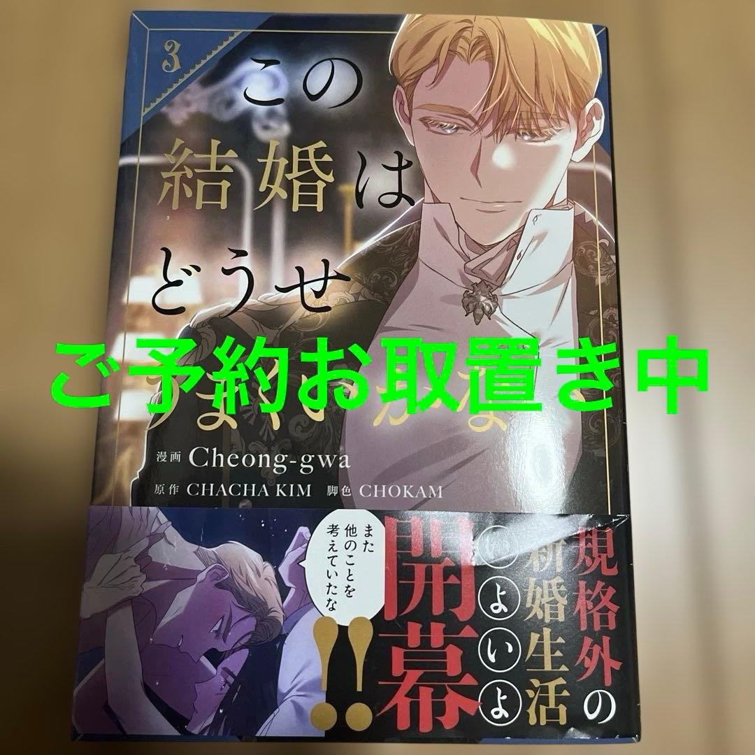 この結婚はどうせうまくいかない 3