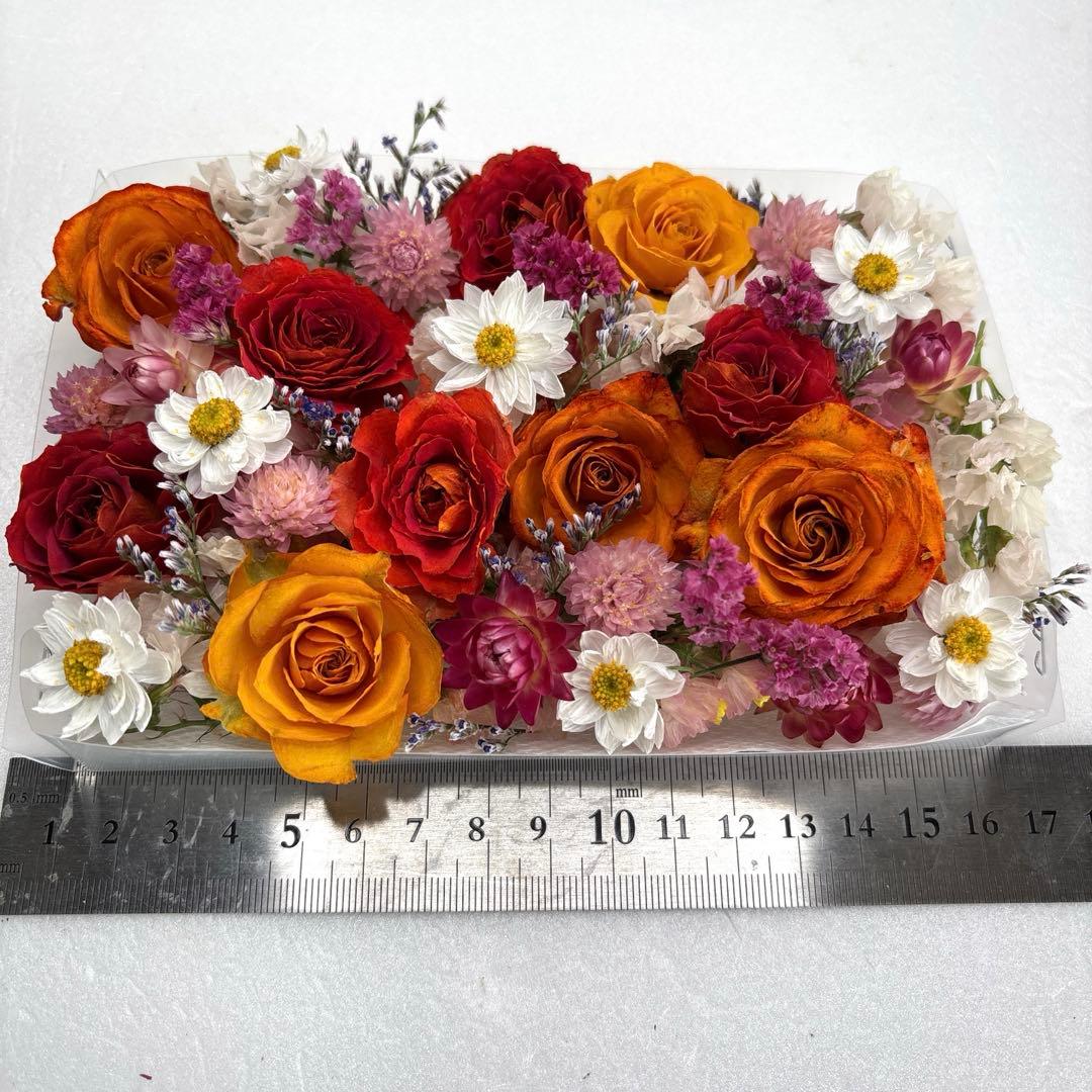 ドライフラワー 花材 詰め合わせ 918