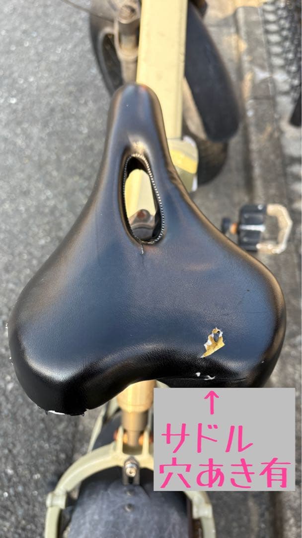 希少 初期ロット MATE X 250 電動 自転車 デザートストーム