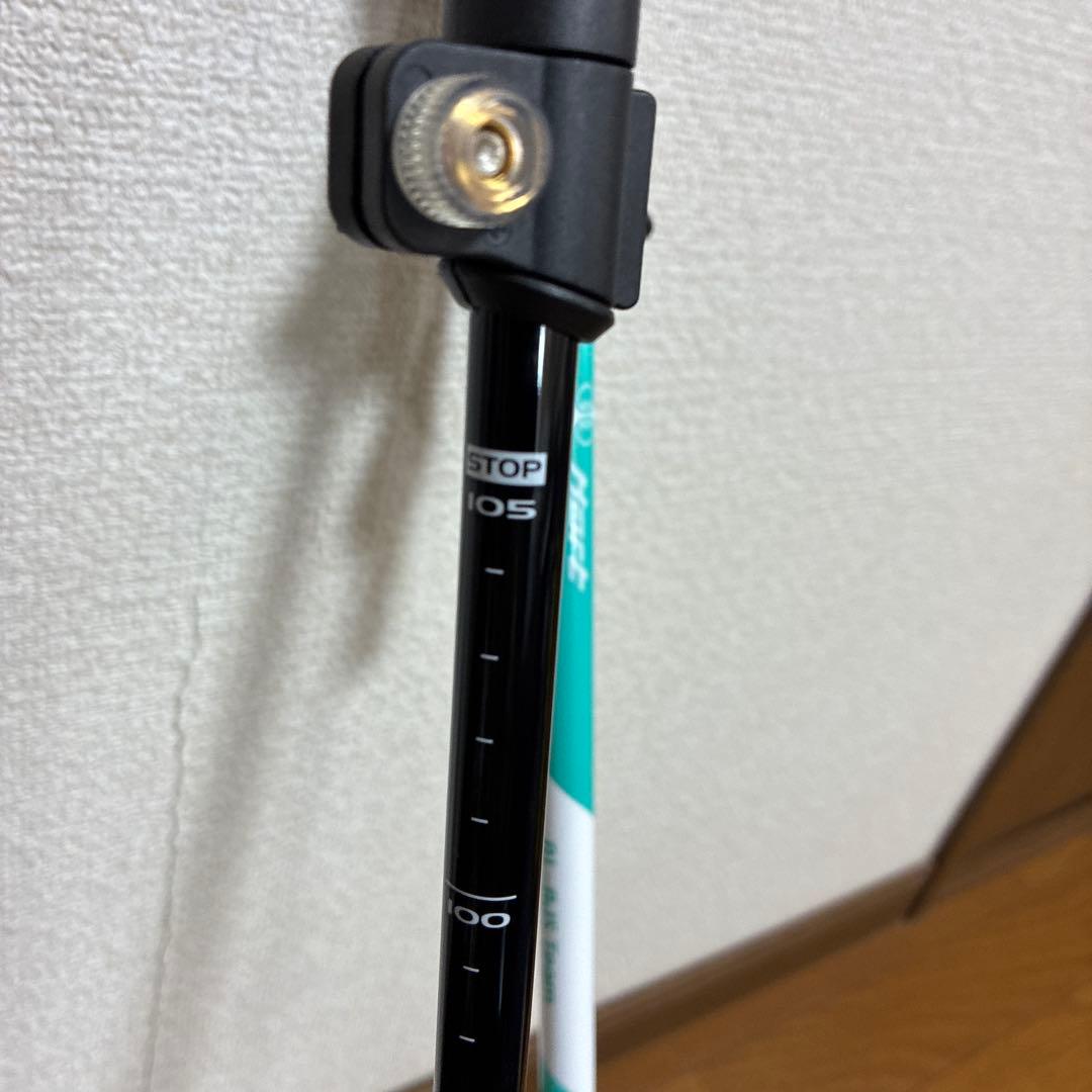 Hart スキー板 カラフルドットデザイン