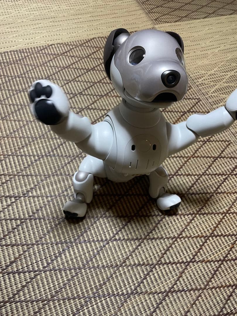 Sony aibo ERS-1000 aibo（アイボ）